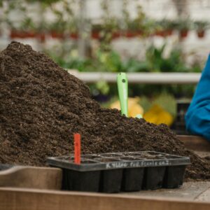 Close-up of soil and seedling tray in a greenhouse setting, ready for planting.